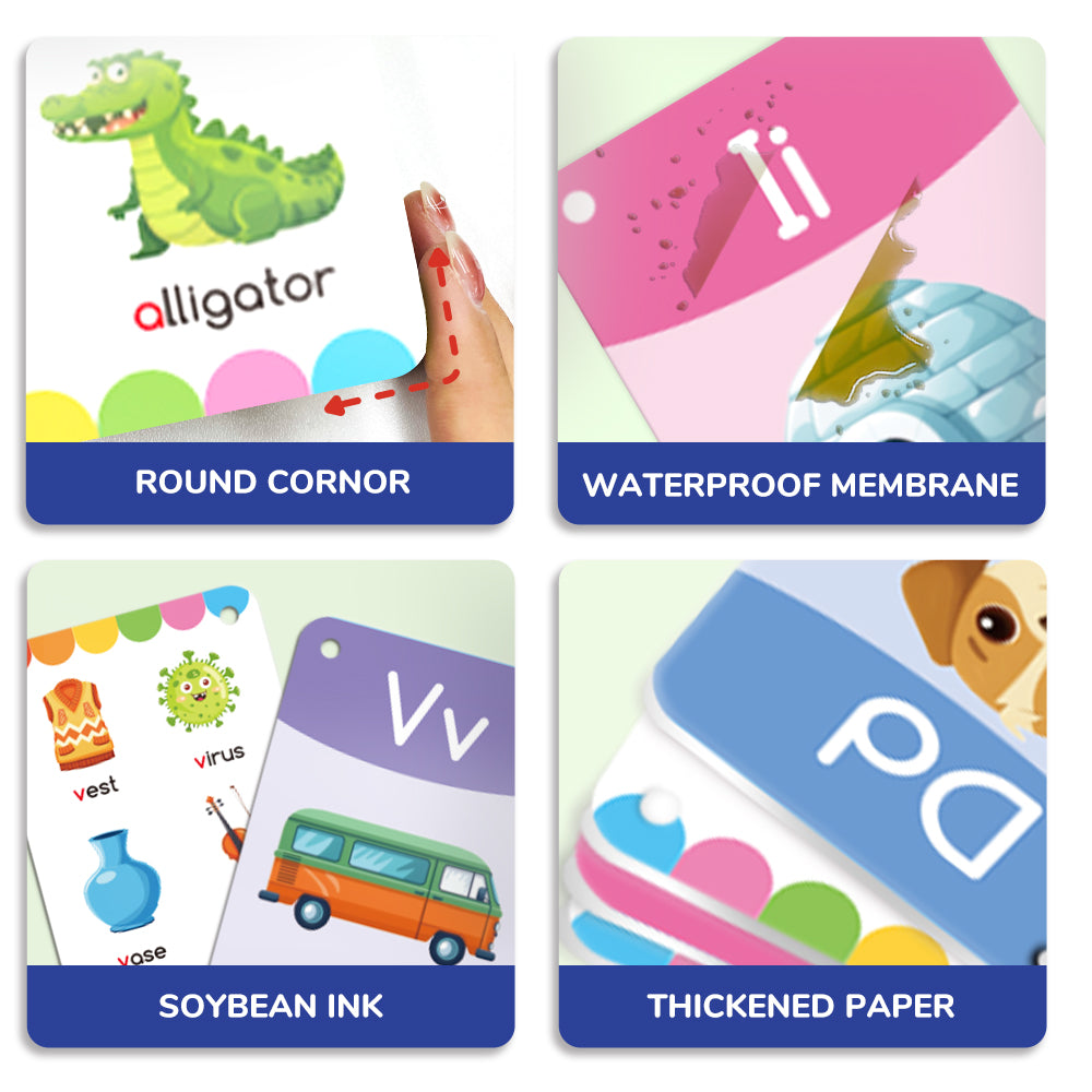 Letter & Words Flash Cards