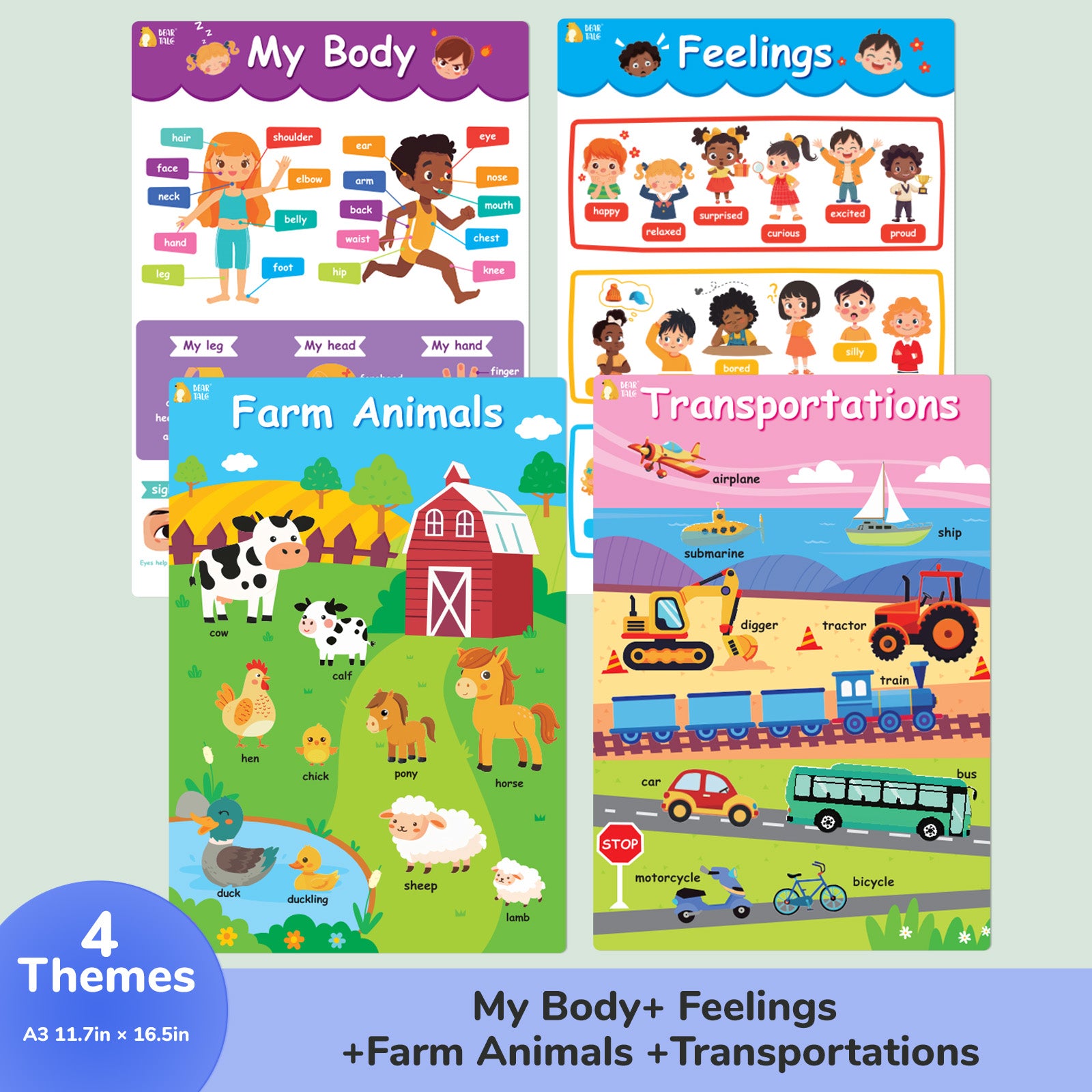 Educational Poster - My Body, Feelings, Farm Animals, Transportations