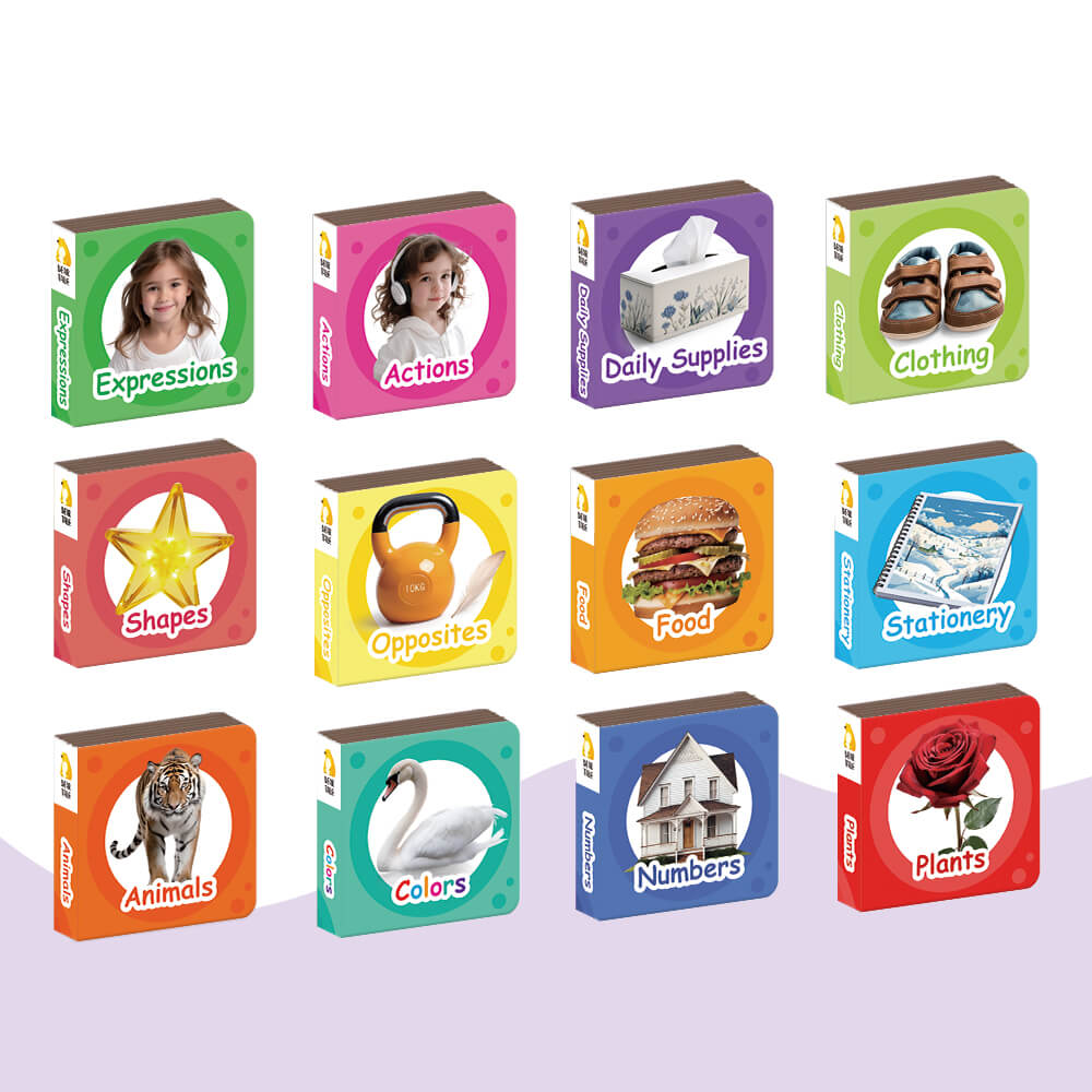 Numbers, Colors, Shapes, Animals, Food Set of 12 (Broad Books)