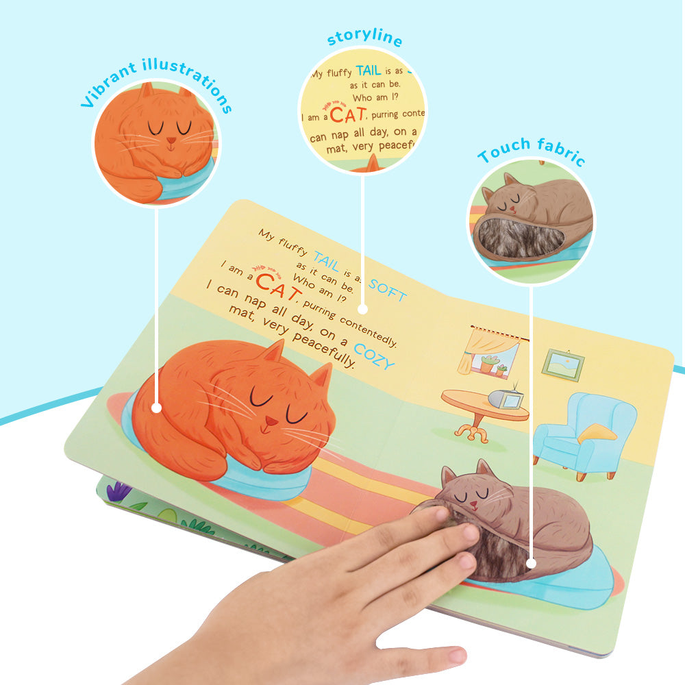 HANDS ON THE PETS Board Book | BearTale × Claudia Favilli