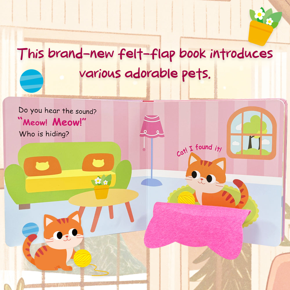Check Out the Cat ! - Life the Flap Book