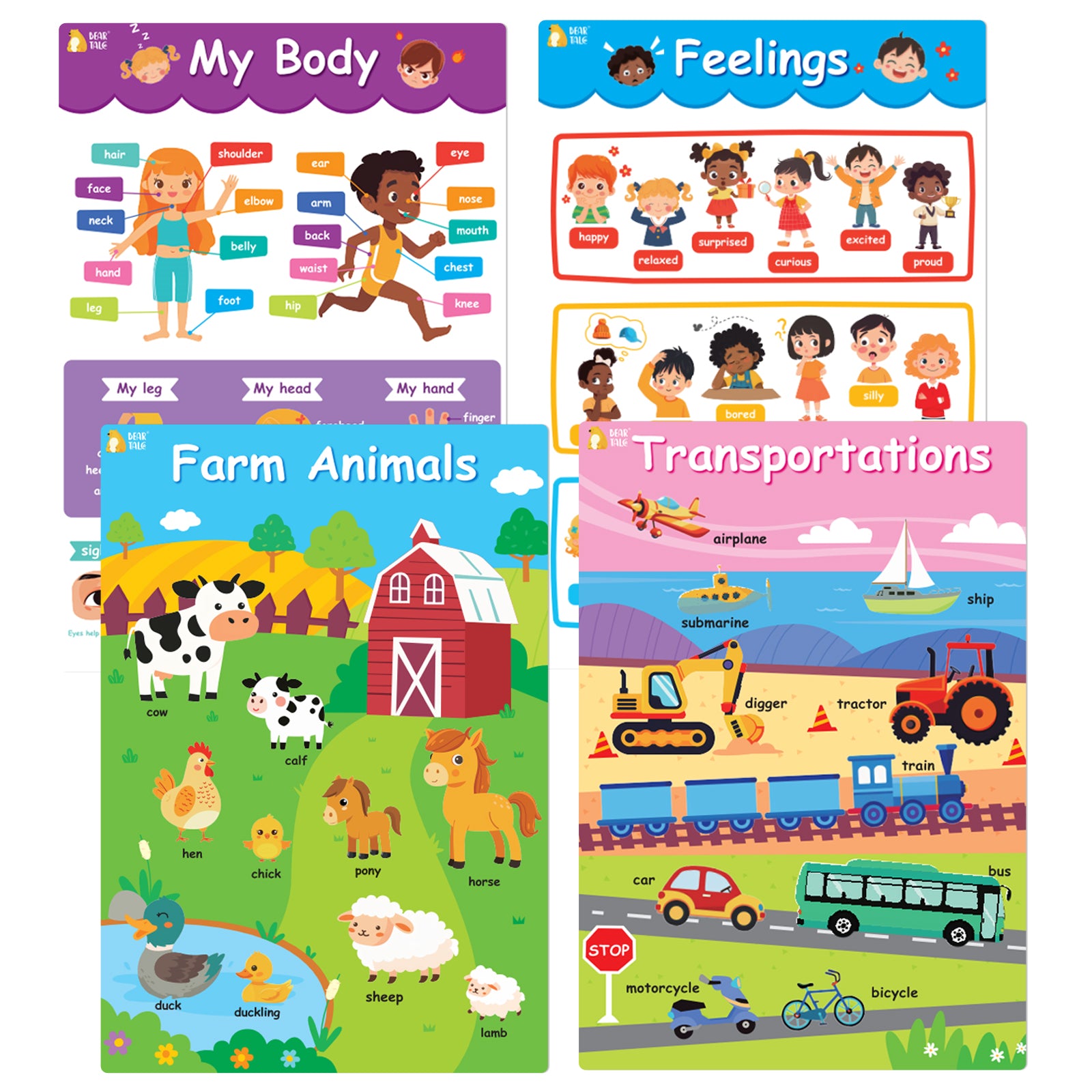 Educational Poster - My Body, Feelings, Farm Animals, Transportations