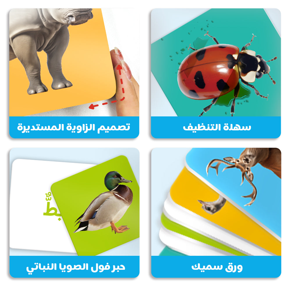 Arabic Animals Flash Card