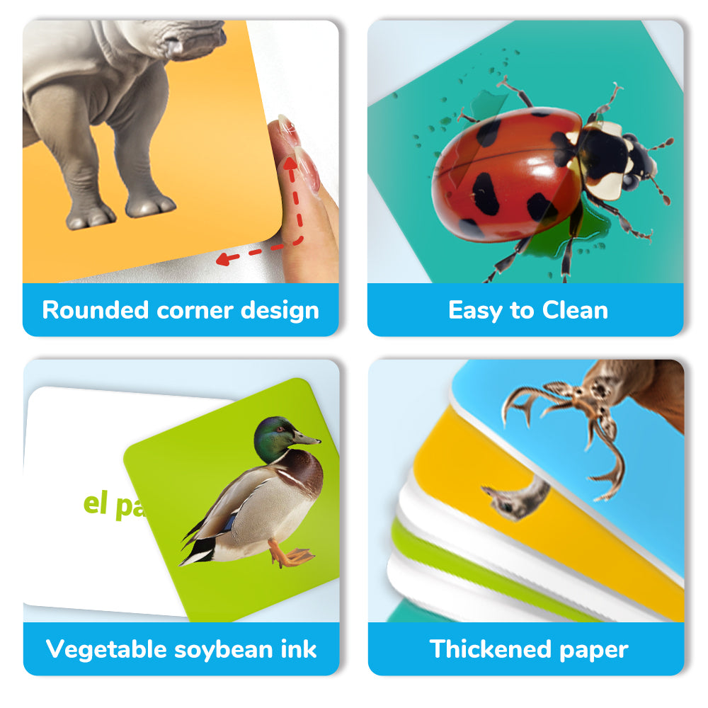 Spanish Animals Flash Card