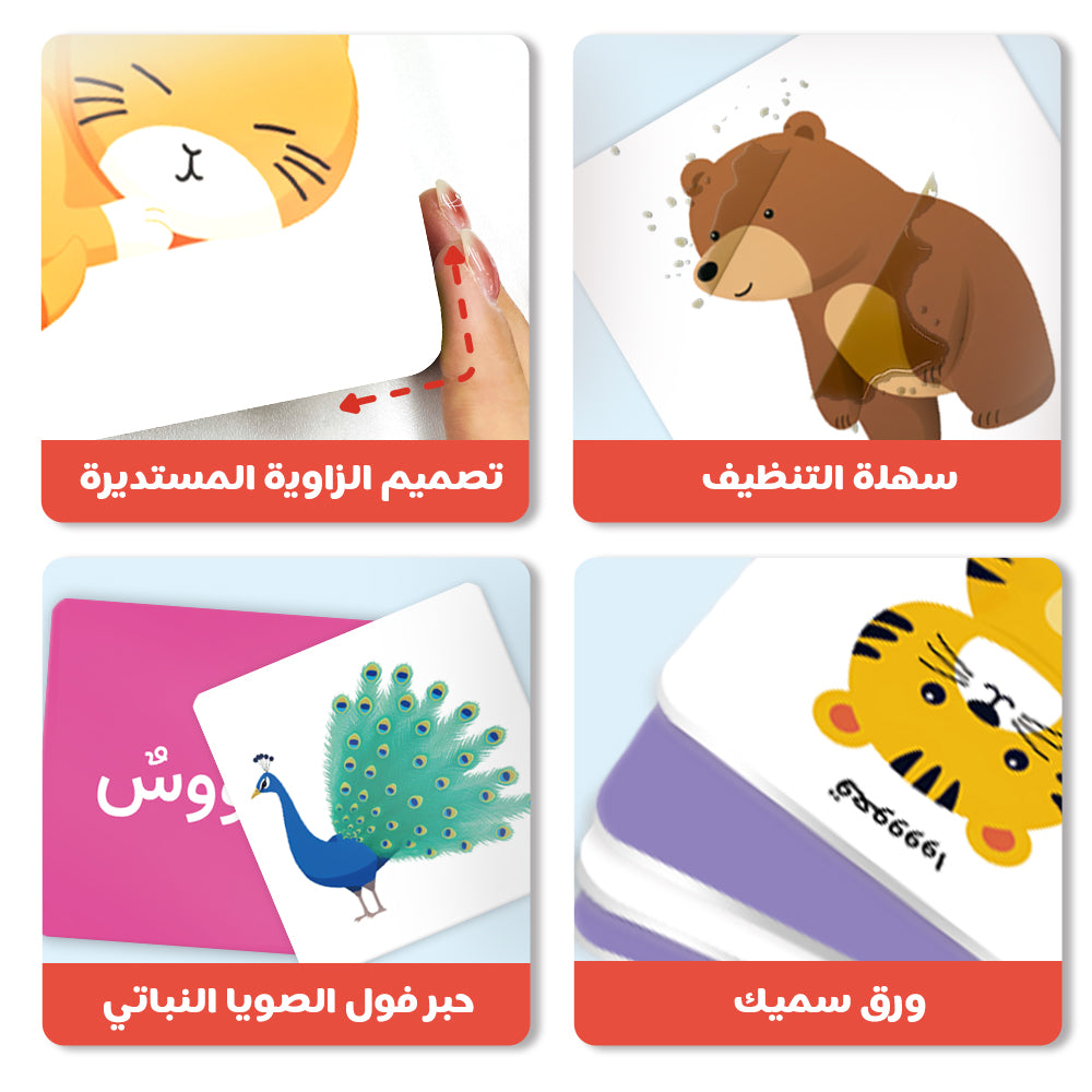 Arabic Cartoon Animal Flash Card