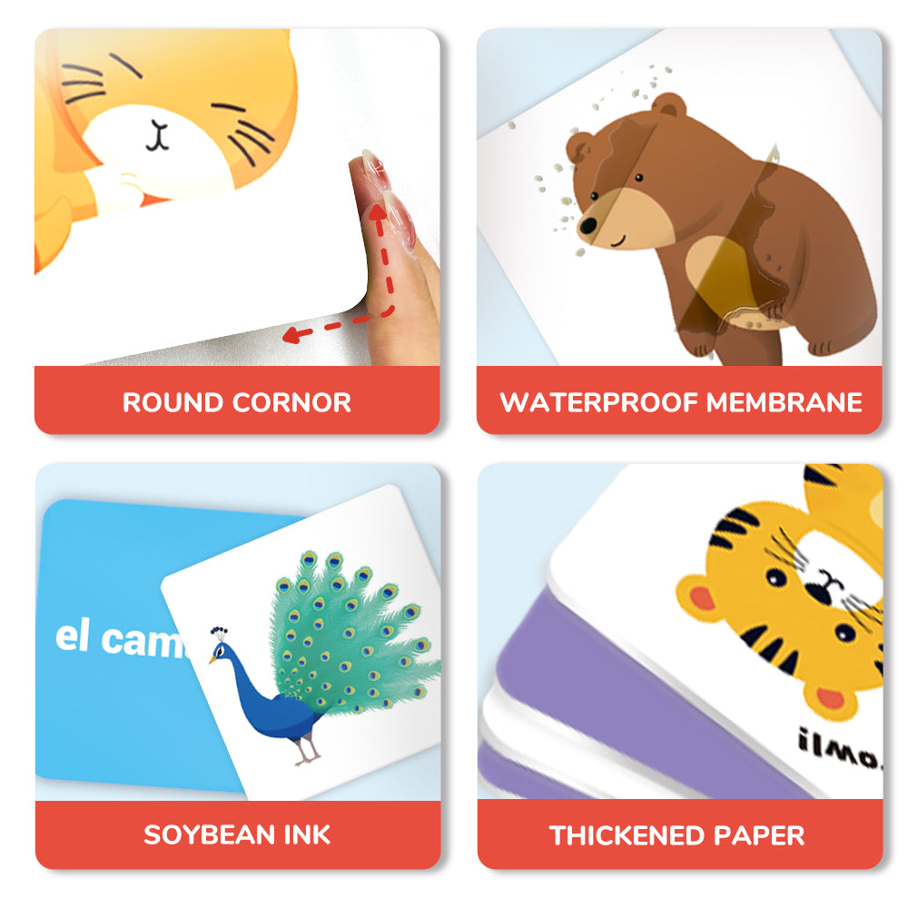 Spanish Cartoon Animals Flash Card