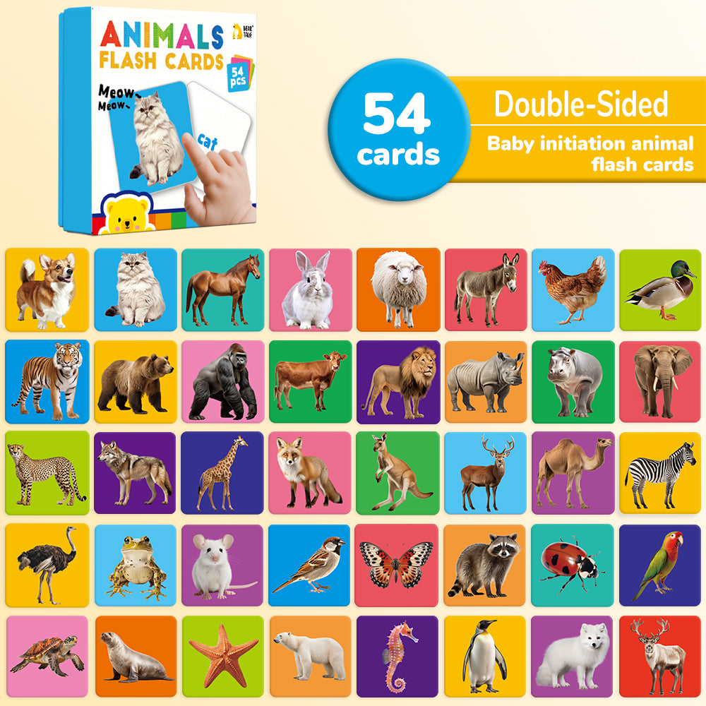 Animals Flash Card