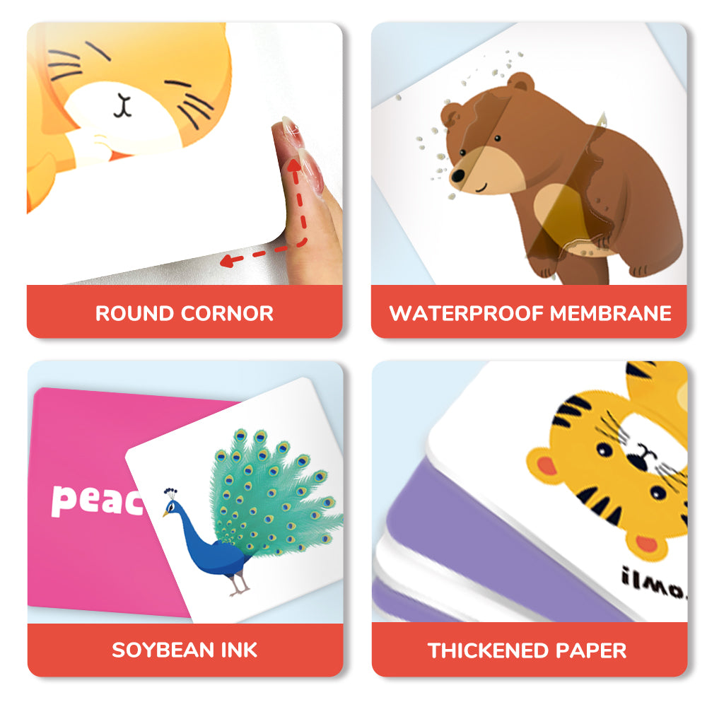 Cartoon Animal Flash Card