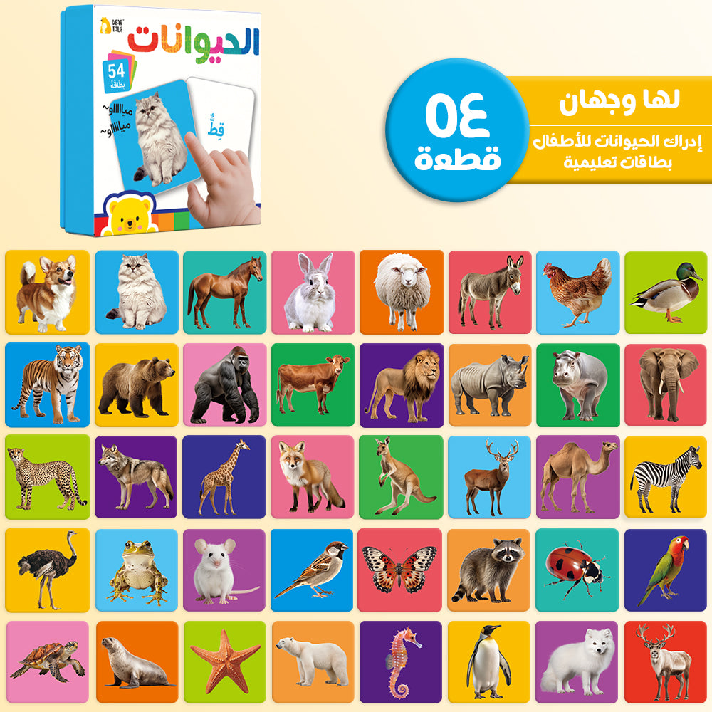 Arabic Animals Flash Card