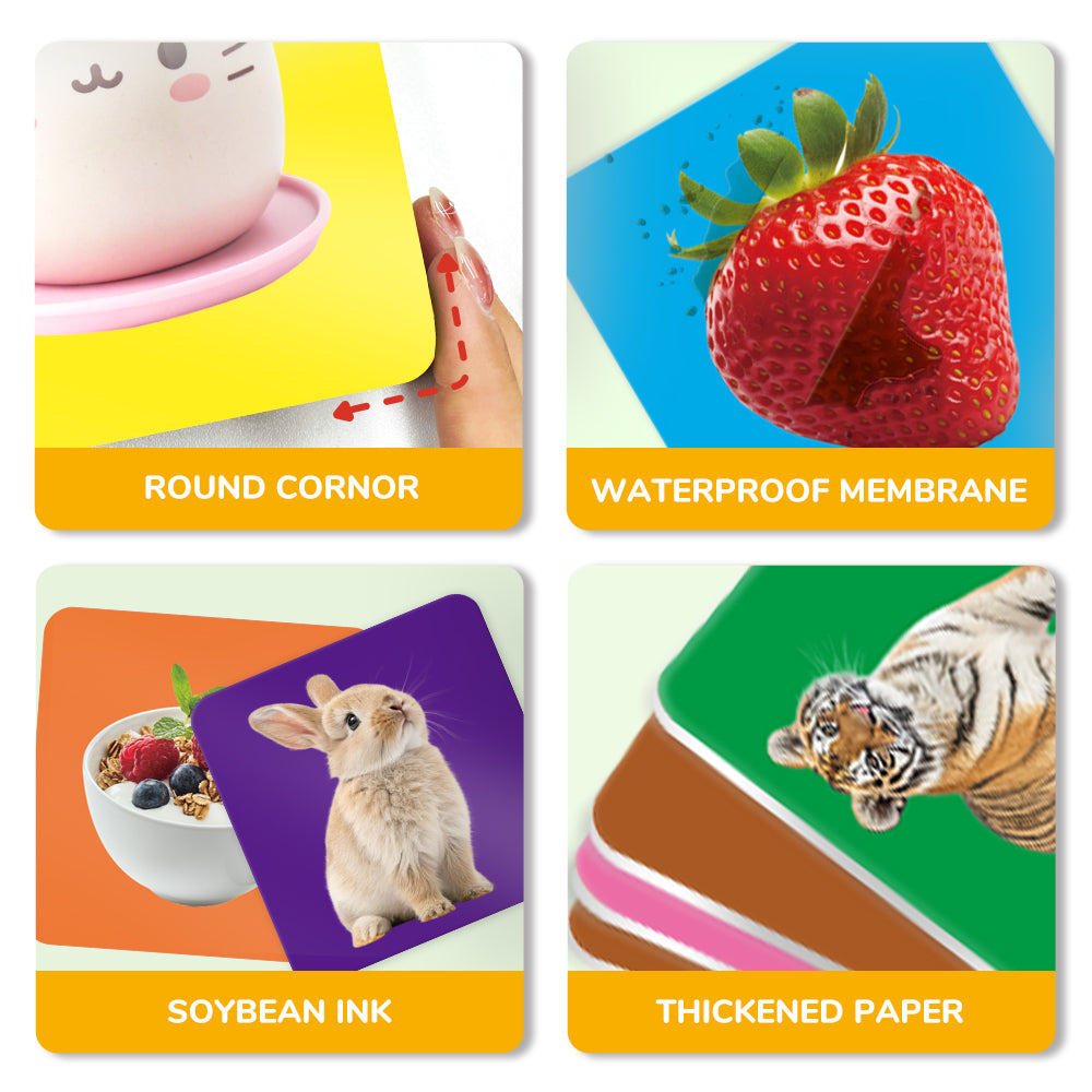 Daily Life Flash Card