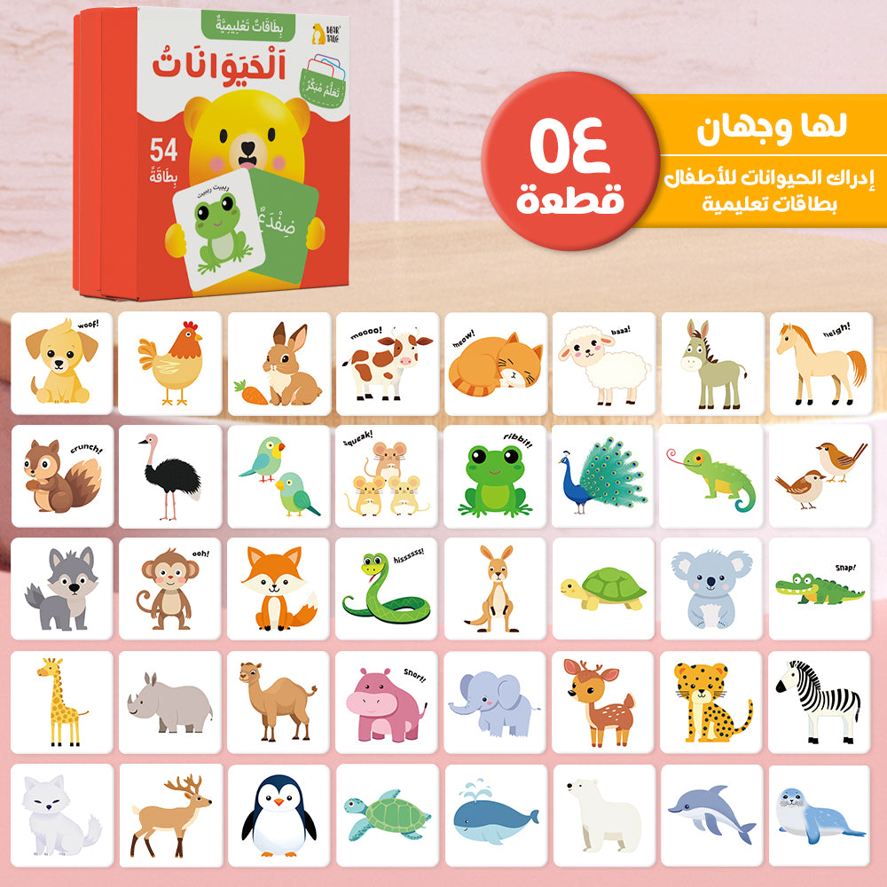 Arabic Cartoon Animal Flash Card