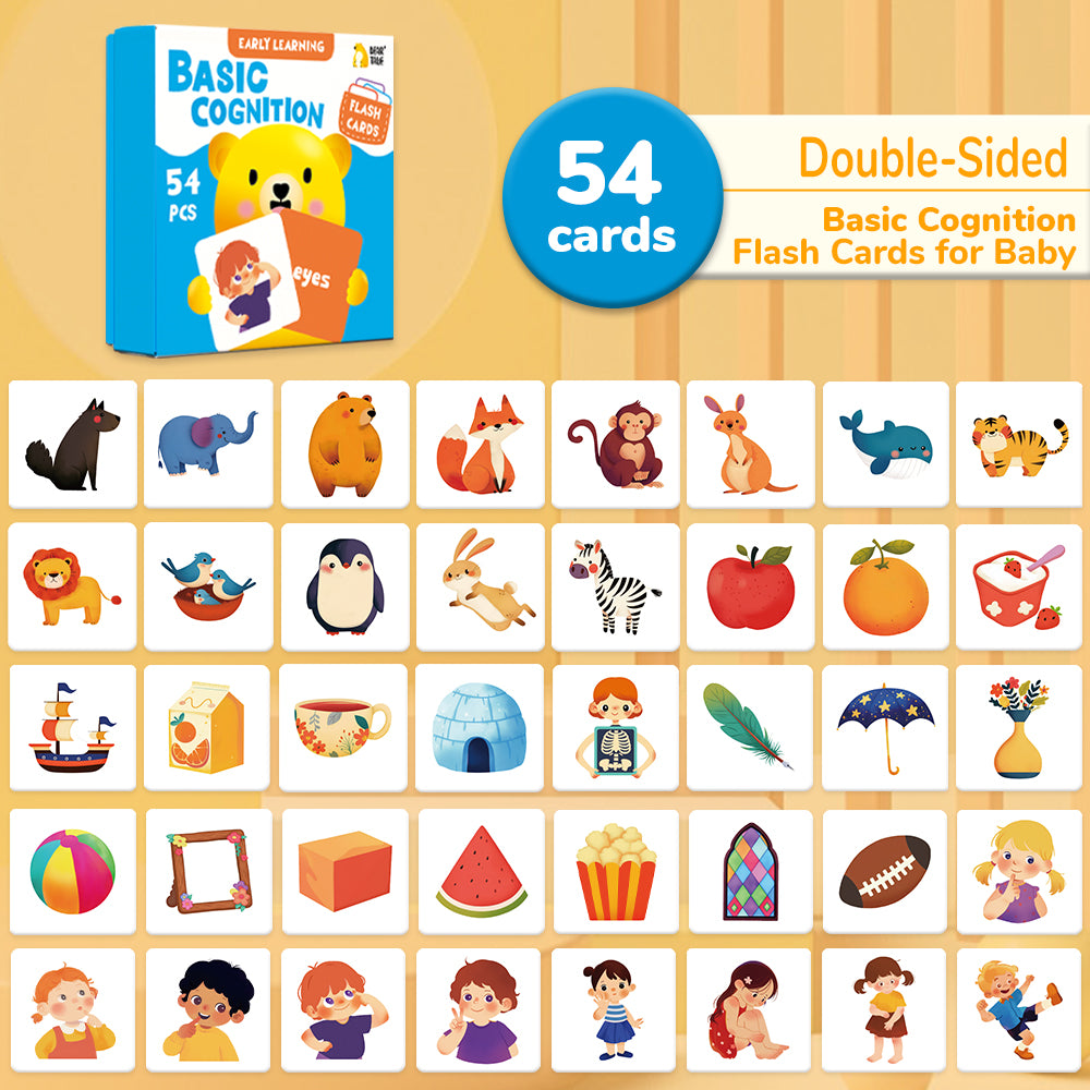 Basic Cognition Flash Card