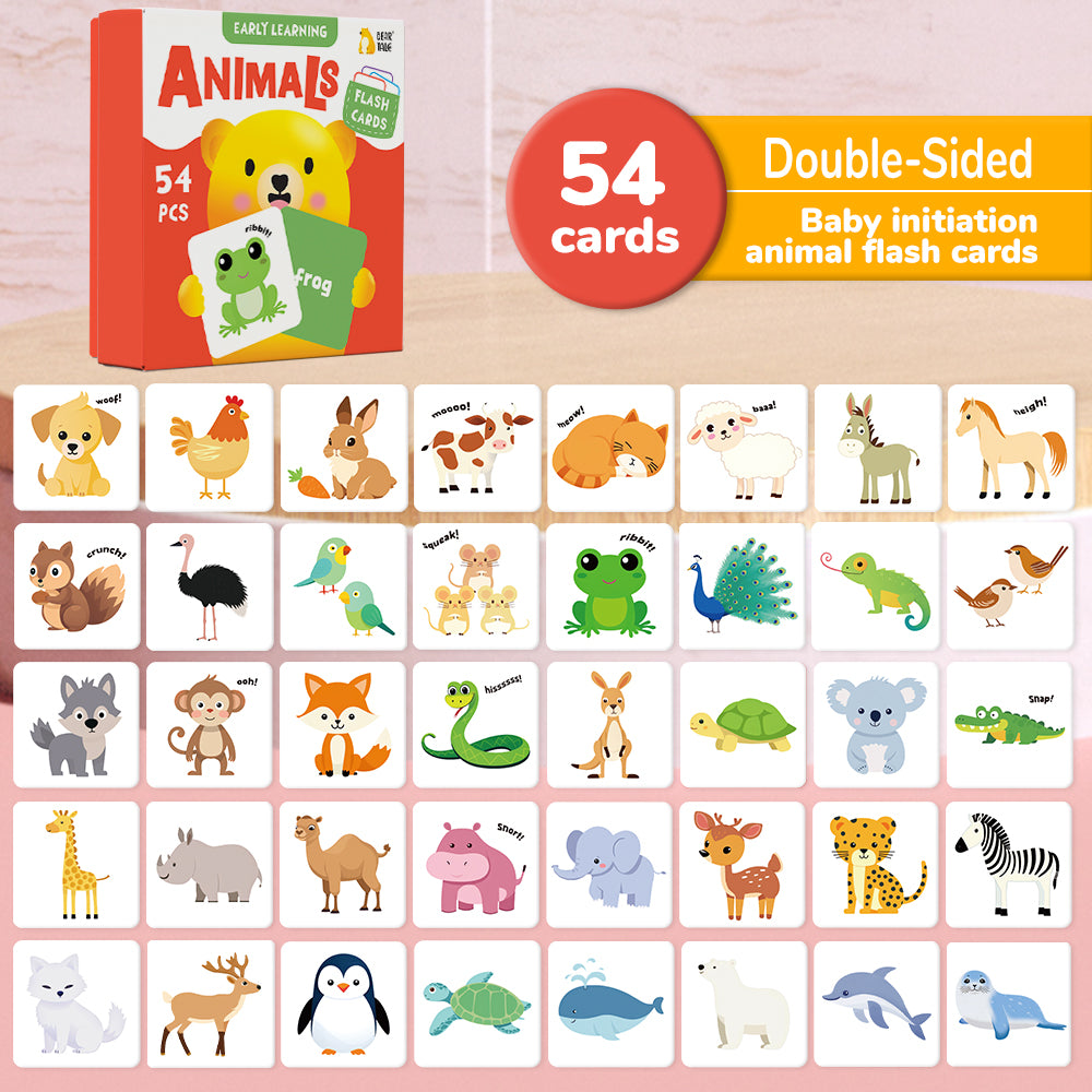 Cartoon Animal Flash Card