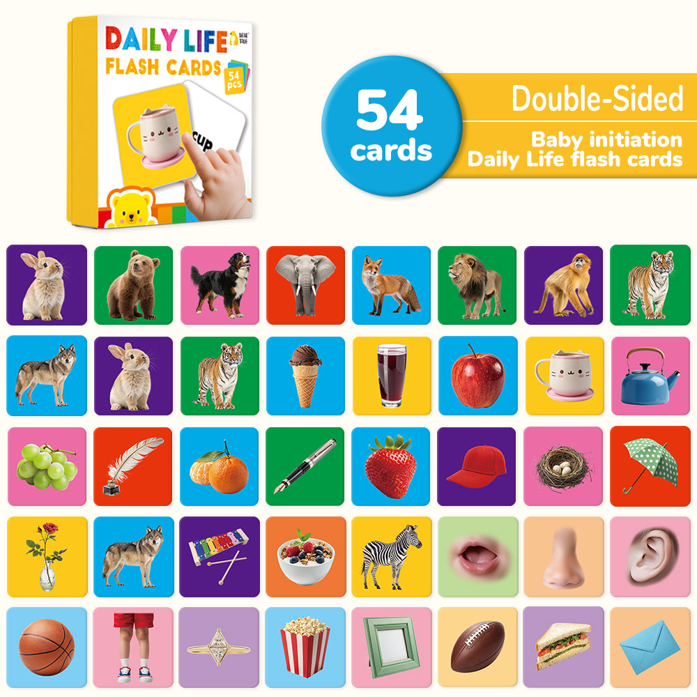 Daily Life Flash Card