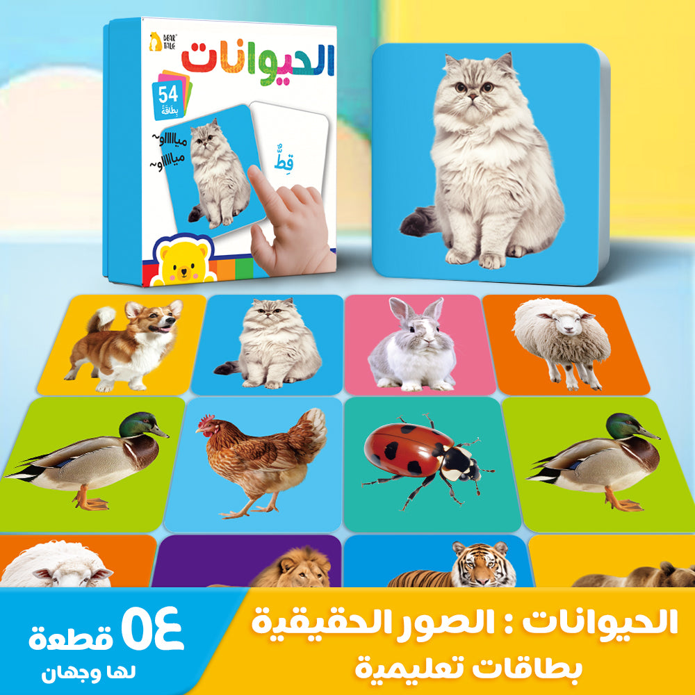 Arabic Animals Flash Card