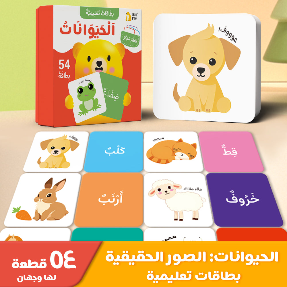 Arabic Cartoon Animal Flash Card