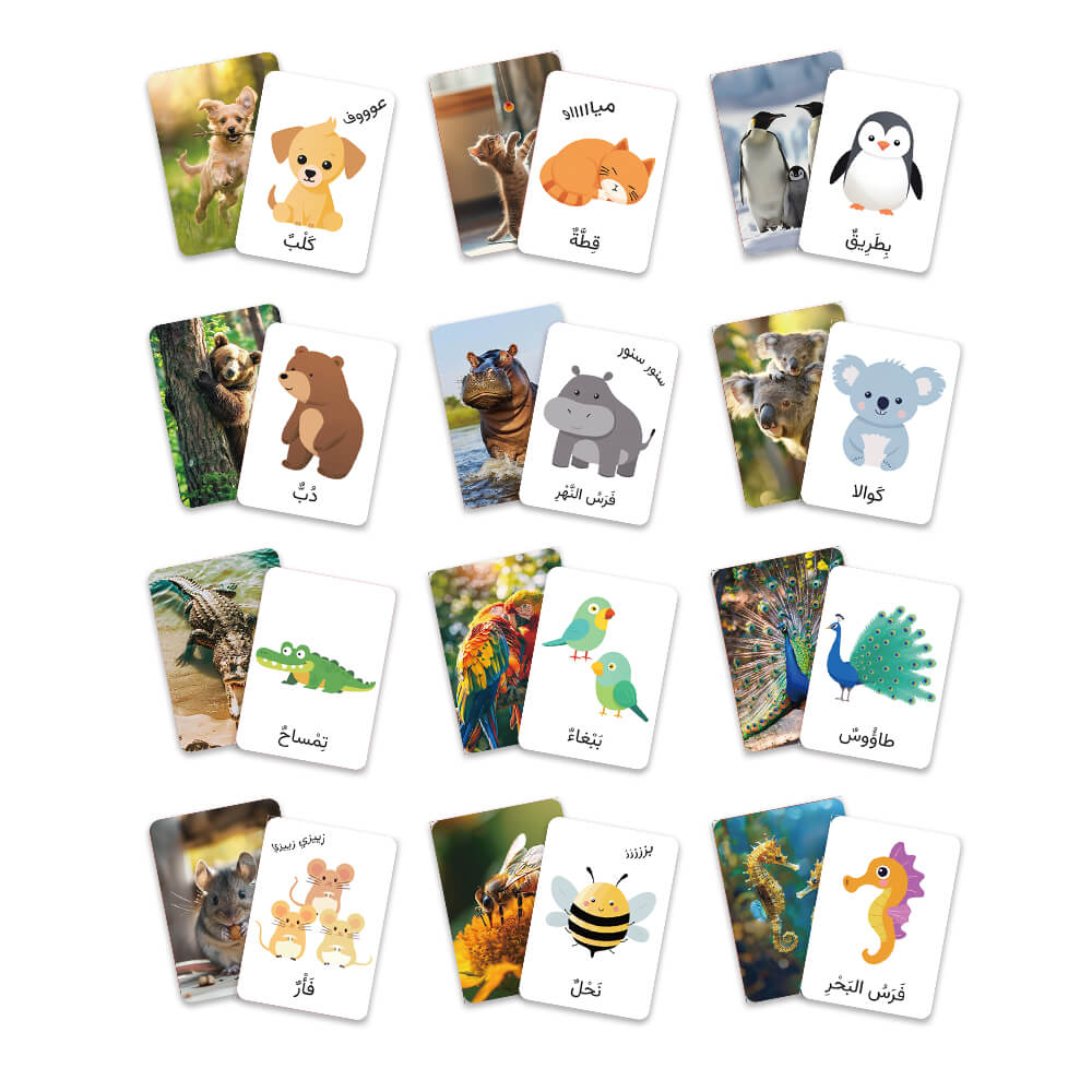 ANIMALS 54 Flash Cards (Arabic)