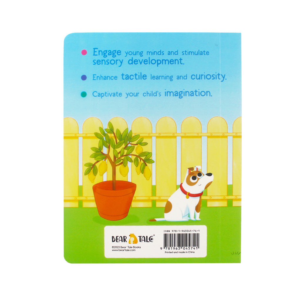 HANDS ON THE PETS Board Book | BearTale × Claudia Favilli