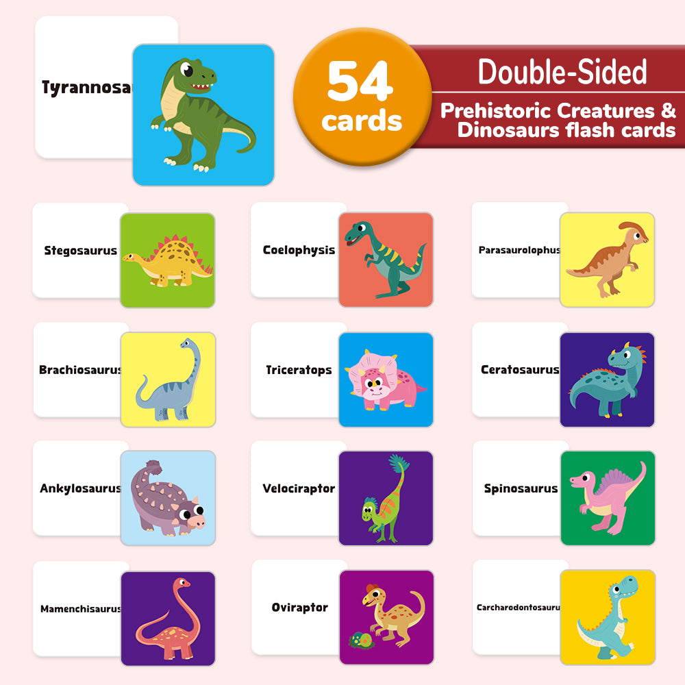 Dinosuar Flash Card