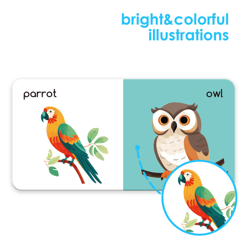 ANIMALS 8 Board Books