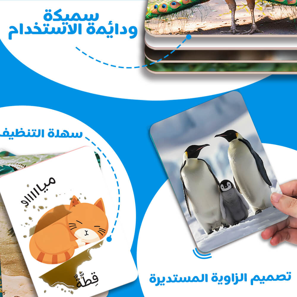 ANIMALS 54 Flash Cards (Arabic)