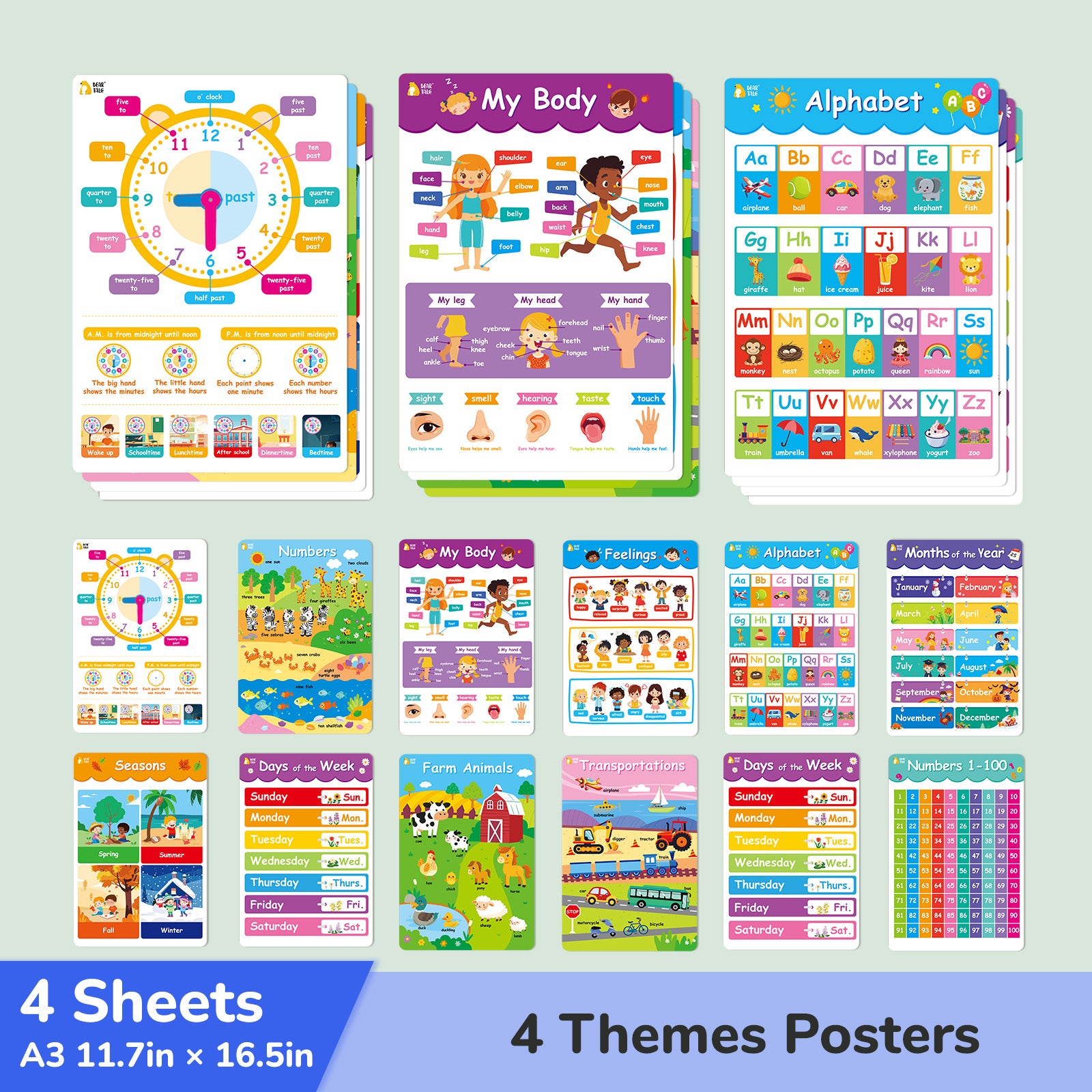 Educational Poster - My Body, Feelings, Farm Animals, Transportations