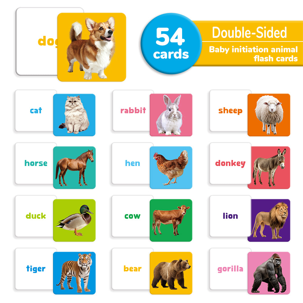 Animals Flash Card
