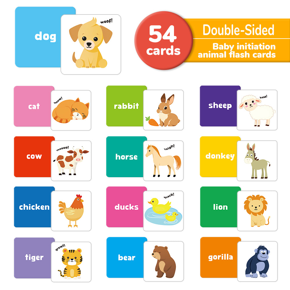 Cartoon Animal Flash Card