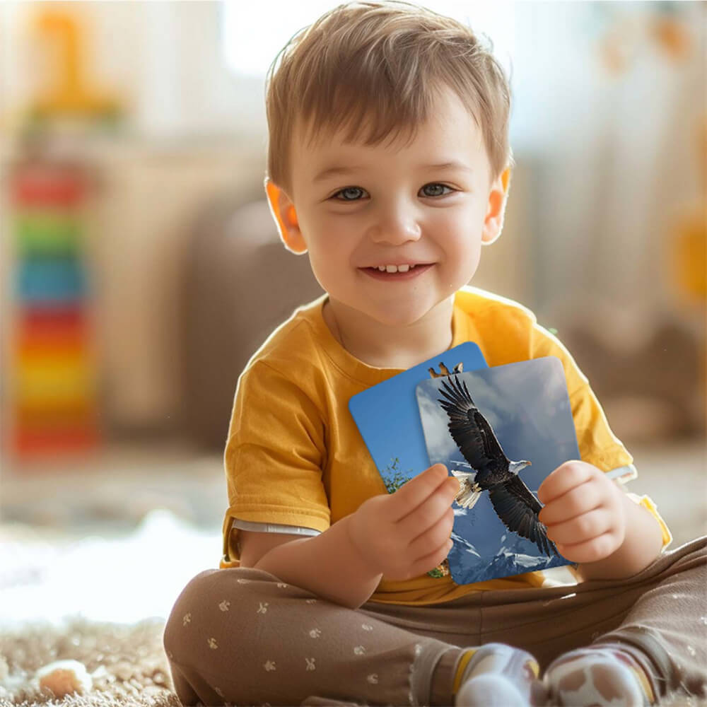 ANIMALS 54 Flash Cards