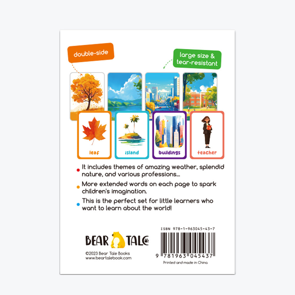 Our World Flash Card