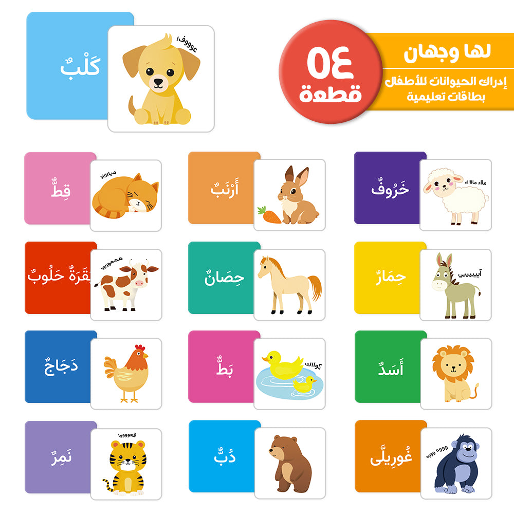Arabic Cartoon Animal Flash Card
