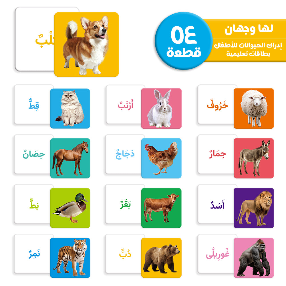 Arabic Animals Flash Card