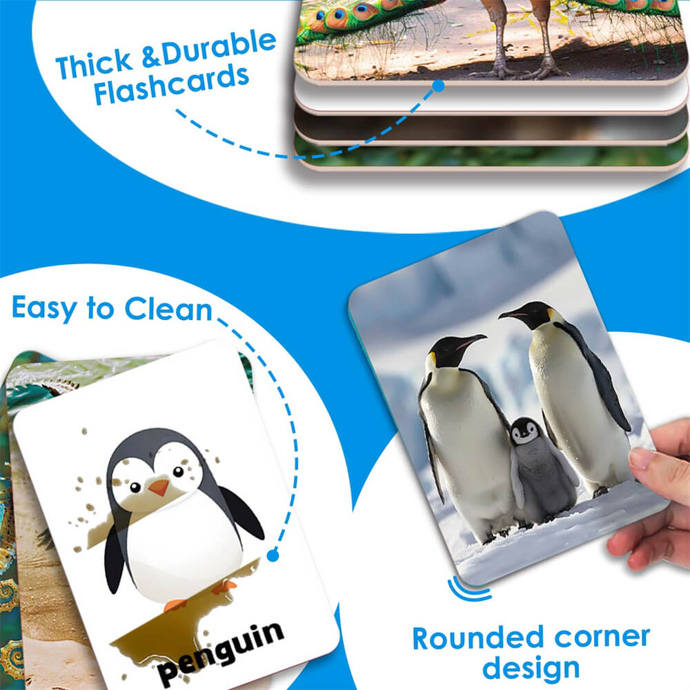 ANIMALS 54 Flash Cards