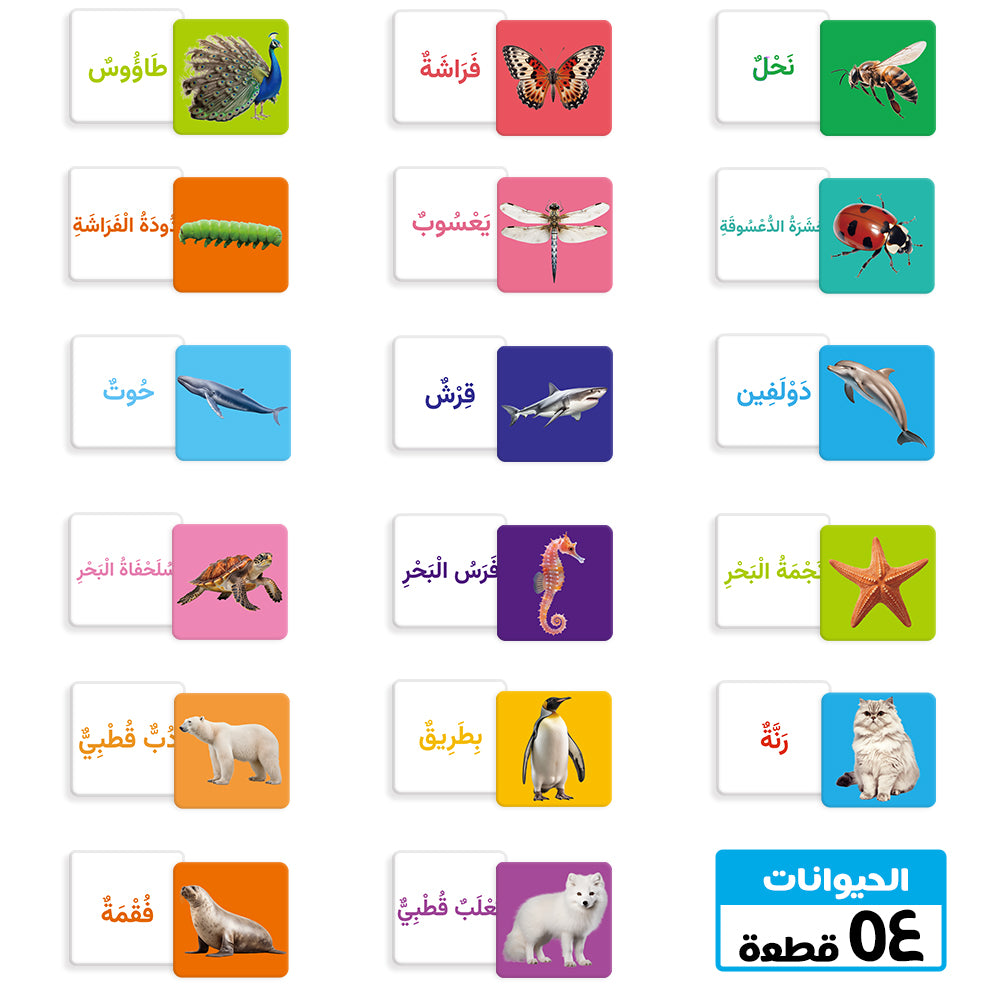 Arabic Animals Flash Card