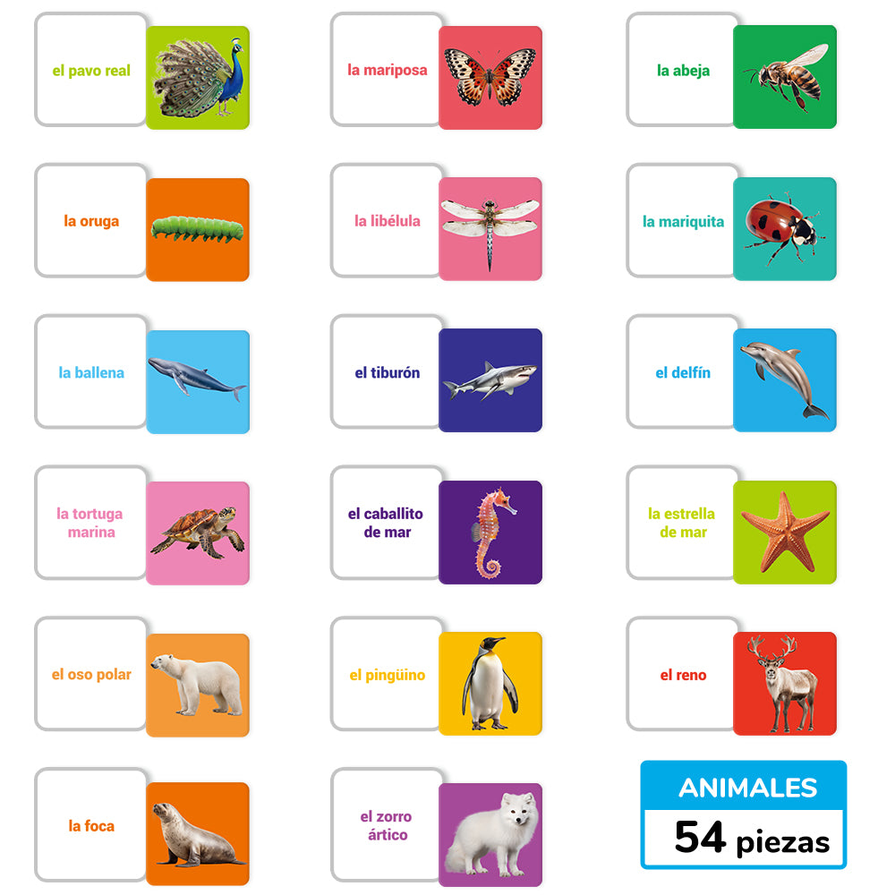 Spanish Animals Flash Card