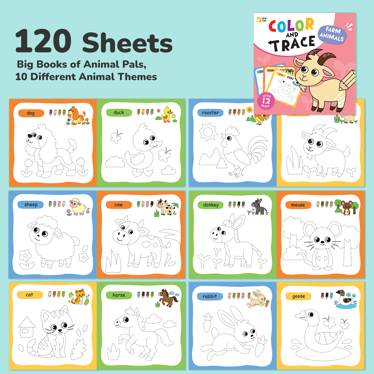 Color and Trace Coloring Book - Animals