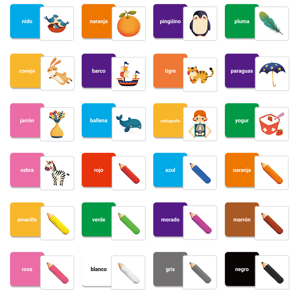 Spanish Basic Cognition Flash Card