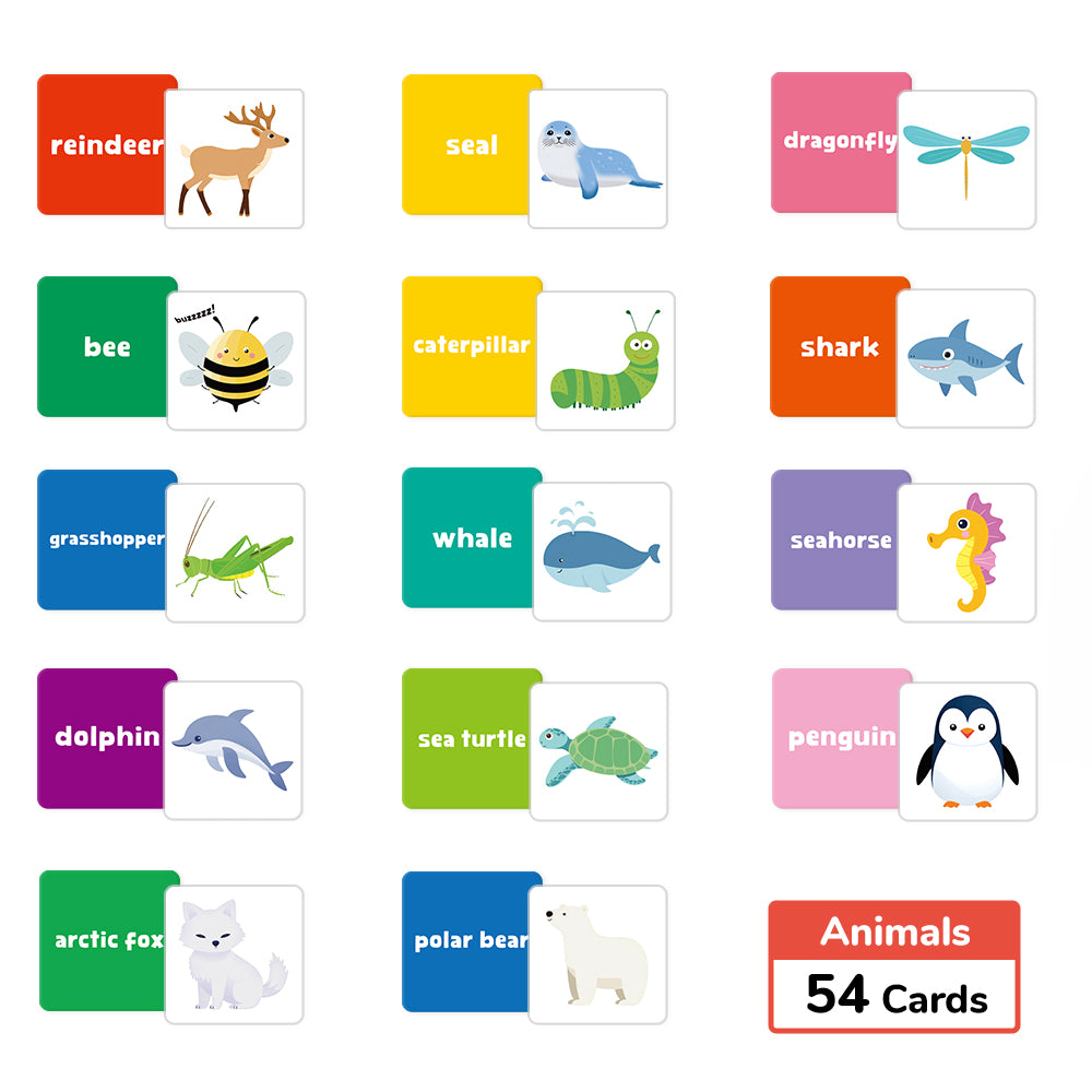 Cartoon Animal Flash Card