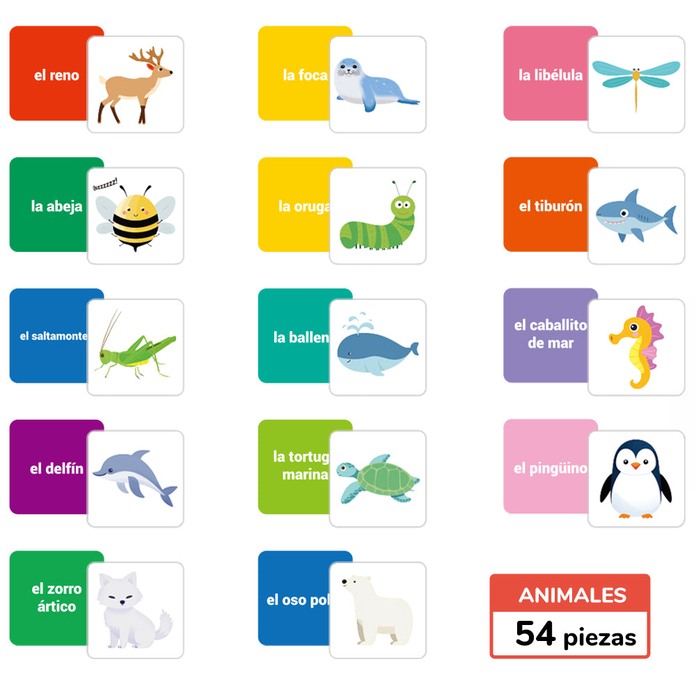 Spanish Cartoon Animals Flash Card