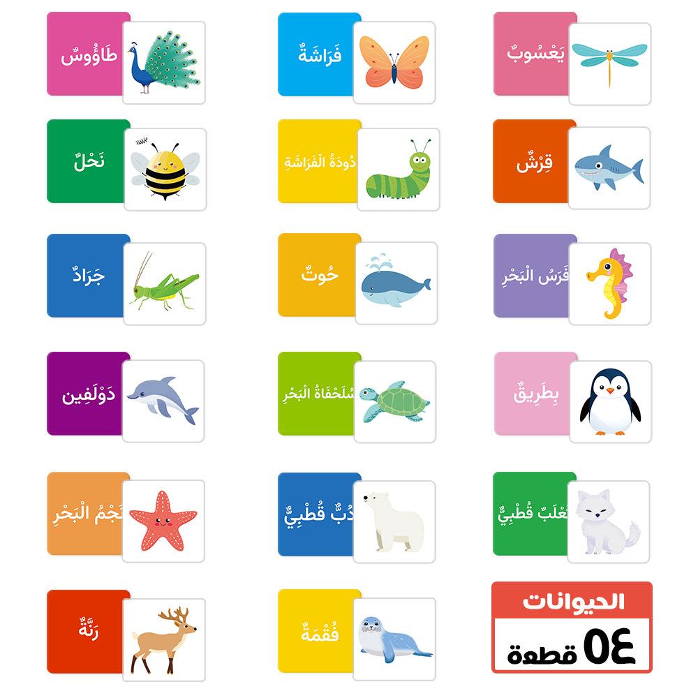 Arabic Cartoon Animal Flash Card