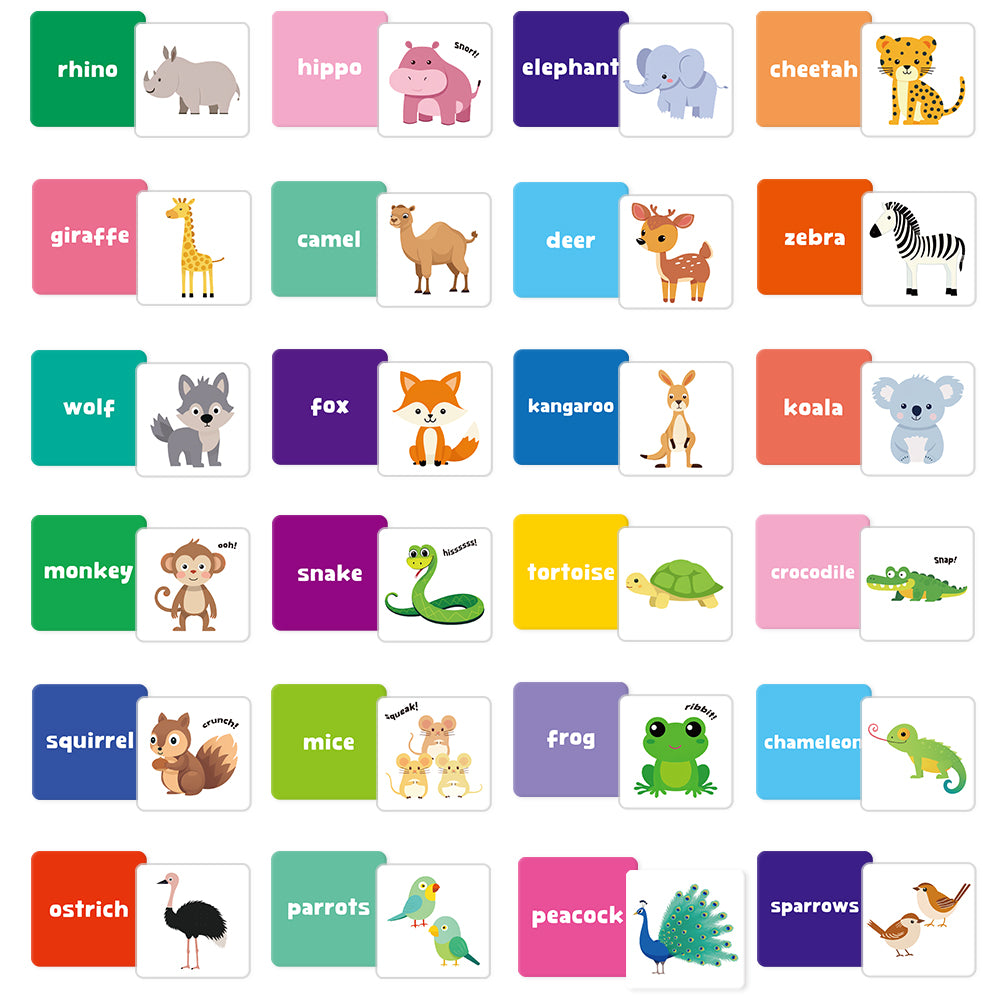 Cartoon Animal Flash Card