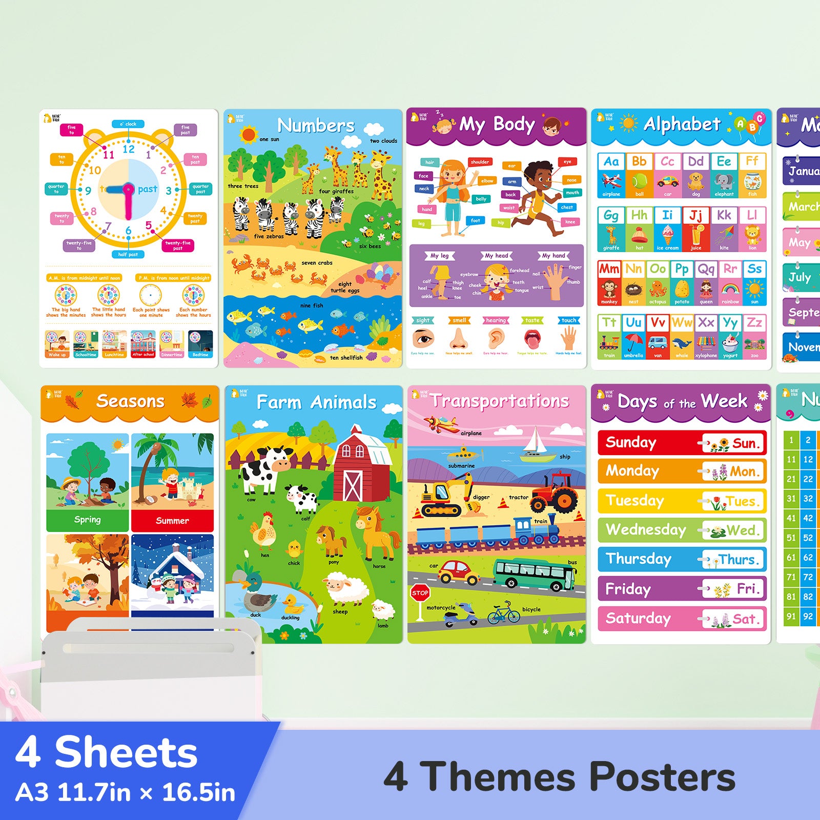 Educational Poster - My Body, Feelings, Farm Animals, Transportations