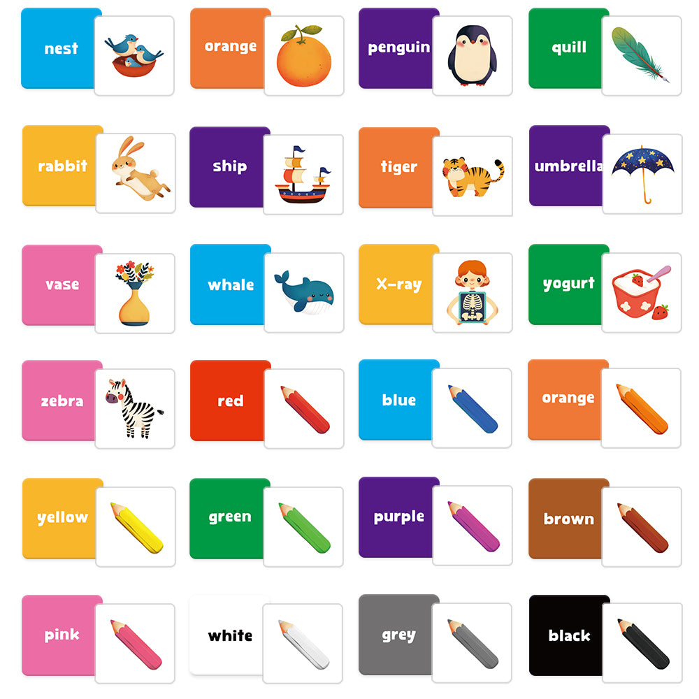 Basic Cognition Flash Card