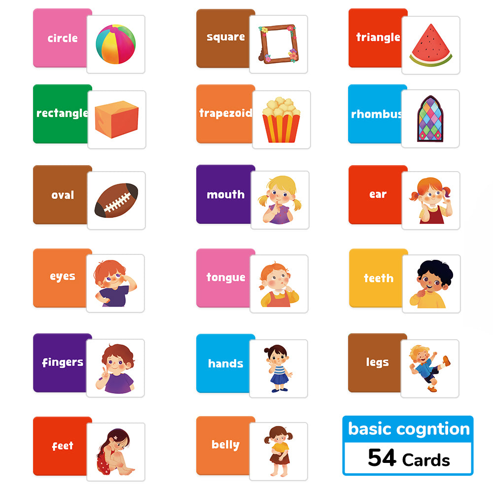 Basic Cognition Flash Card