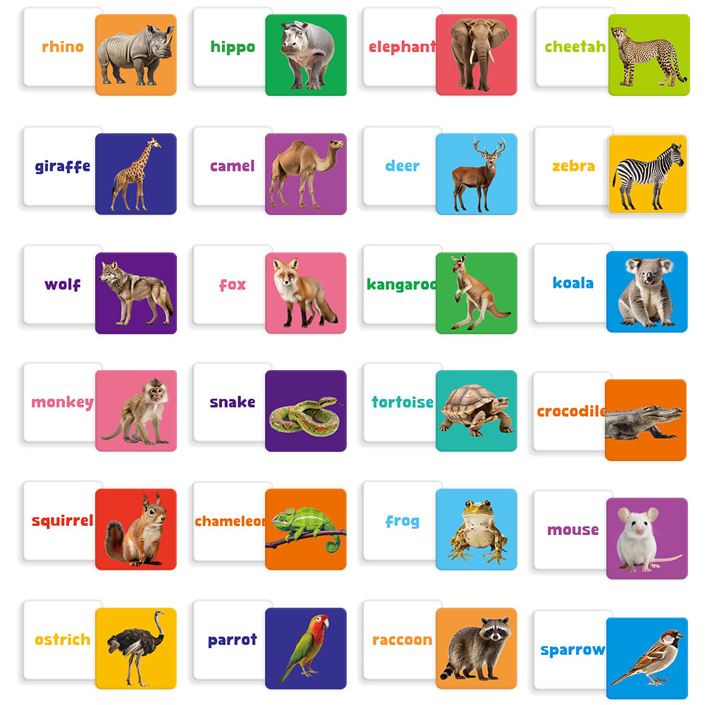 Animals Flash Card