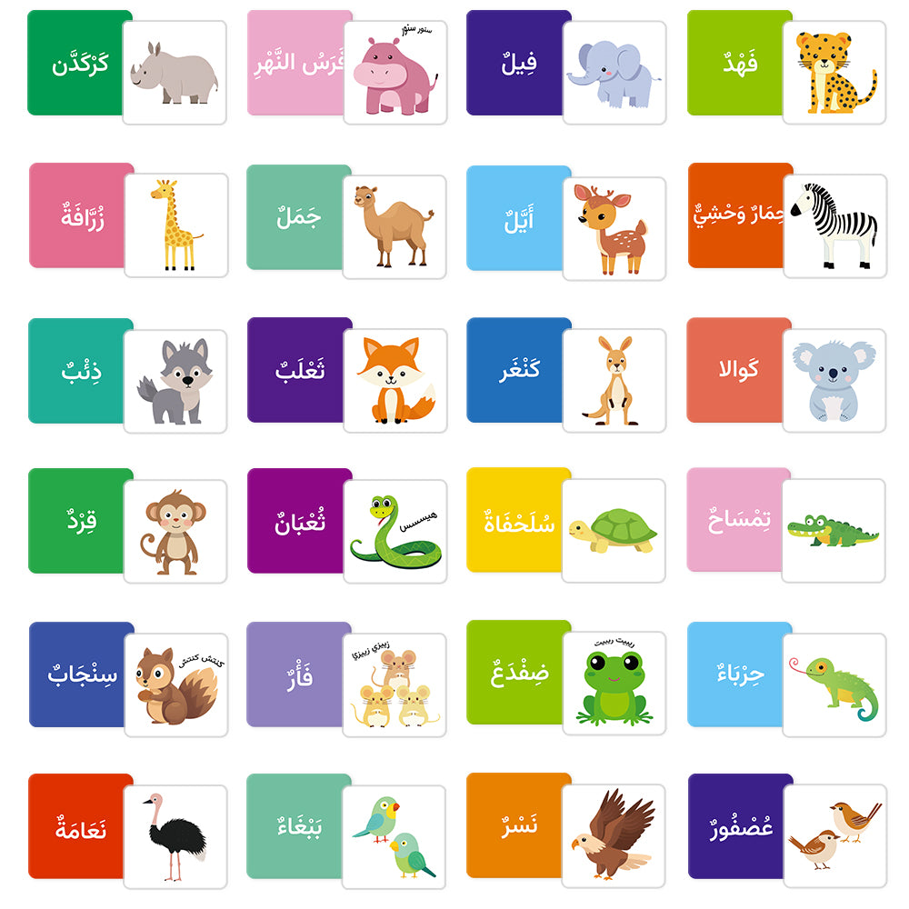 Arabic Cartoon Animal Flash Card