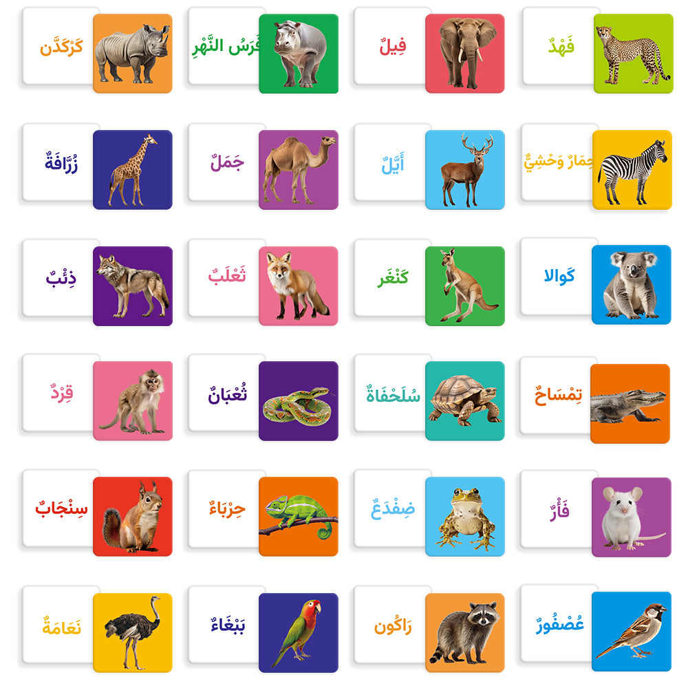 Arabic Animals Flash Card