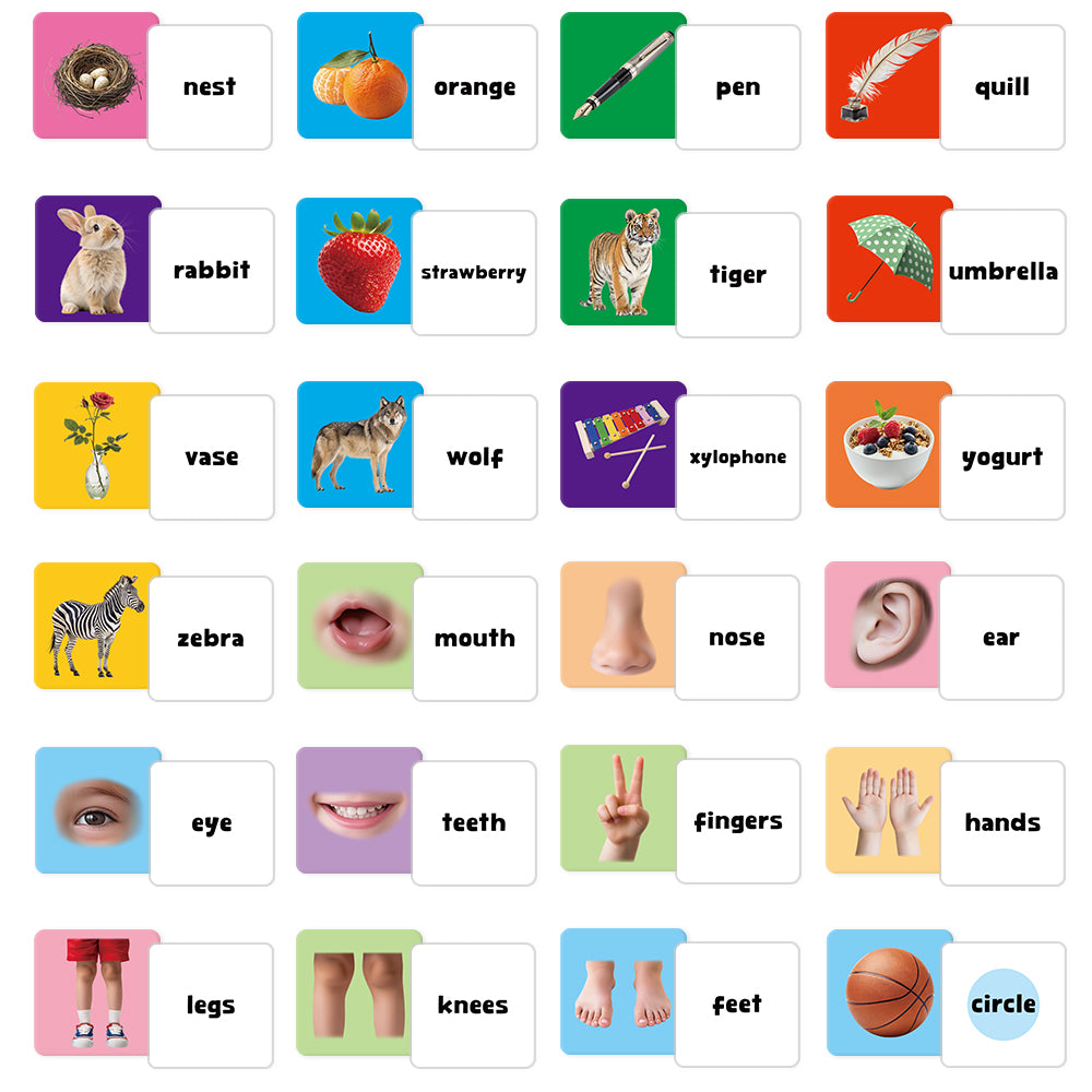 Daily Life Flash Card