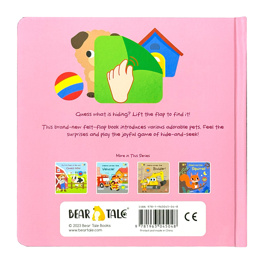 Check Out the Cat ! - Life the Flap Book