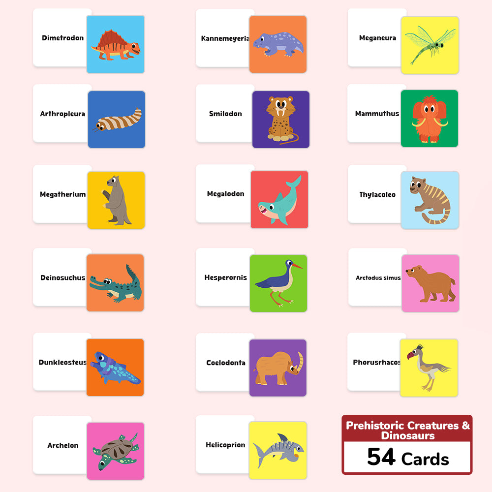 Dinosuar Flash Card